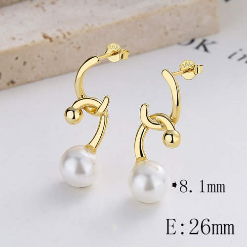 BC Wholesale 925 Sterling Silver Jewelry Earrings Good Quality Earrings NO.#925SJ8E1A033