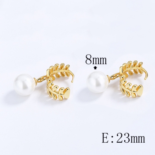 BC Wholesale 925 Sterling Silver Jewelry Earrings Good Quality Earrings NO.#925SJ8E1A4818