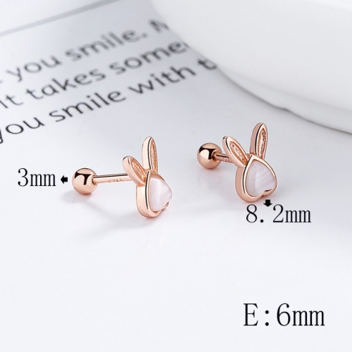 BC Wholesale 925 Sterling Silver Jewelry Earrings Good Quality Earrings NO.#925SJ8E1A0314