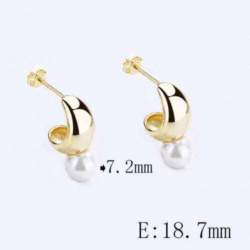 BC Wholesale 925 Sterling Silver Jewelry Earrings Good Quality Earrings NO.#925SJ8E1A448