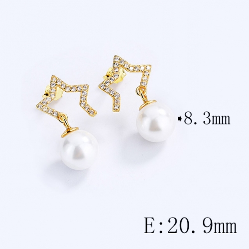 BC Wholesale 925 Sterling Silver Jewelry Earrings Good Quality Earrings NO.#925SJ8E1A013