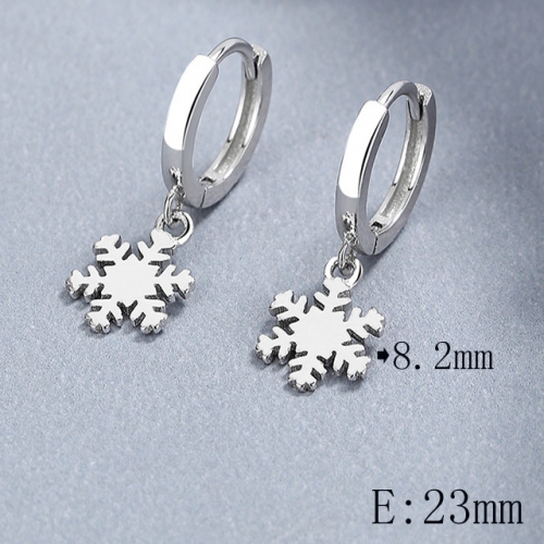 BC Wholesale 925 Sterling Silver Jewelry Earrings Good Quality Earrings NO.#925SJ8EA0210