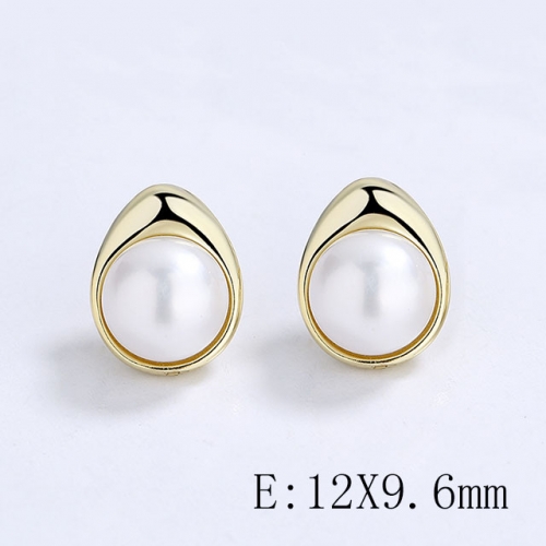 BC Wholesale 925 Sterling Silver Jewelry Earrings Good Quality Earrings NO.#925SJ8E1A146