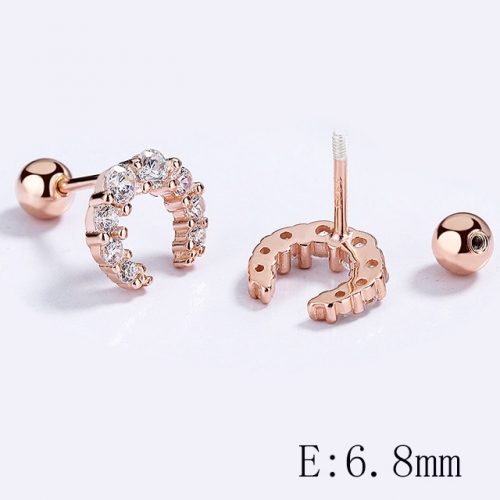 BC Wholesale 925 Sterling Silver Jewelry Earrings Good Quality Earrings NO.#925SJ8E1A101