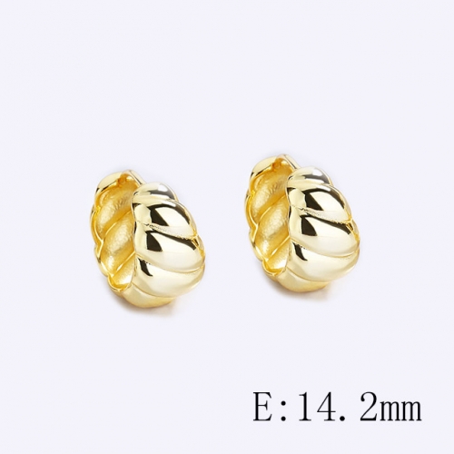 BC Wholesale 925 Sterling Silver Jewelry Earrings Good Quality Earrings NO.#925SJ8E1A5109