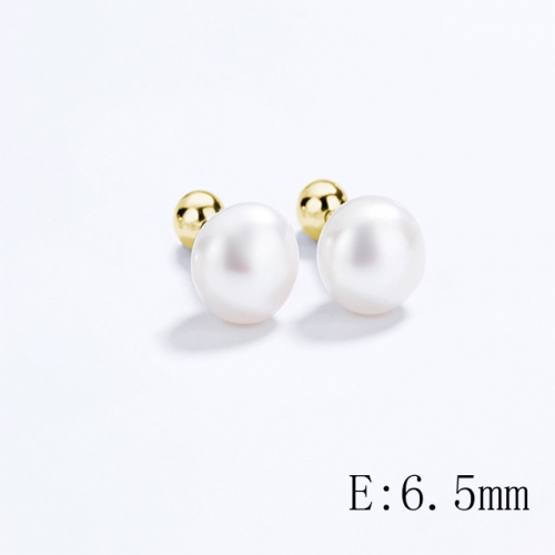 BC Wholesale 925 Sterling Silver Jewelry Earrings Good Quality Earrings NO.#925SJ8E3A317