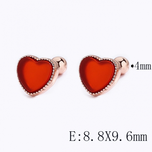 BC Wholesale 925 Sterling Silver Jewelry Earrings Good Quality Earrings NO.#925SJ8E1A1311