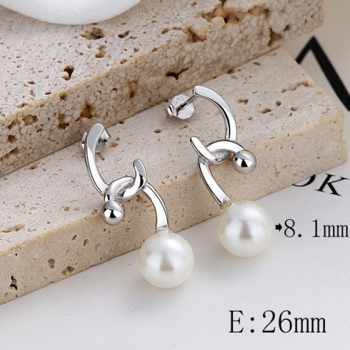 BC Wholesale 925 Sterling Silver Jewelry Earrings Good Quality Earrings NO.#925SJ8EA033