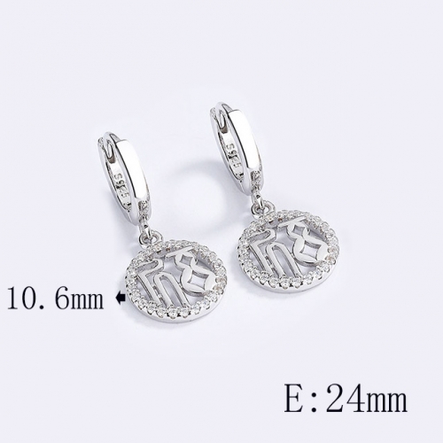 BC Wholesale 925 Sterling Silver Jewelry Earrings Good Quality Earrings NO.#925SJ8EA5715