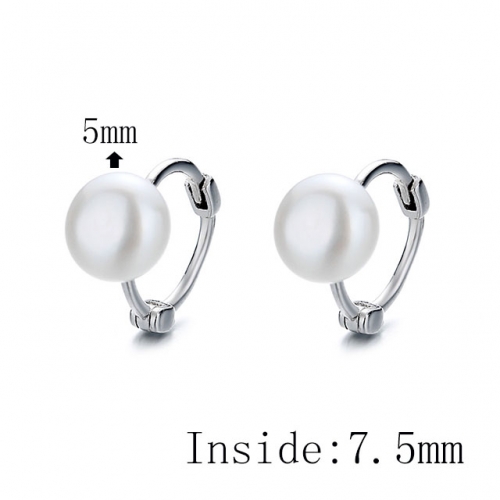 BC Wholesale 925 Sterling Silver Jewelry Earrings Good Quality Earrings NO.#925SJ8EA3311