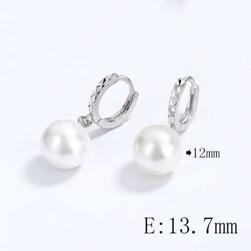 BC Wholesale 925 Sterling Silver Jewelry Earrings Good Quality Earrings NO.#925SJ8E2A366