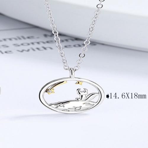 BC Wholesale 925 Silver Necklace Fashion Silver Pendant and Chain Necklace NO.#925SJ8NE5507