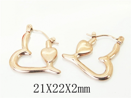 BC Wholesale Earrings Jewelry Stainless Steel Earrings Studs NO.#BC70E0951LT