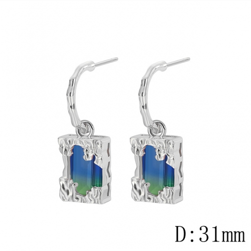BC Wholesale Earrings Jewelry Copper Earrings With 925 Silver Needle Earrings NO.#CJ005E00964