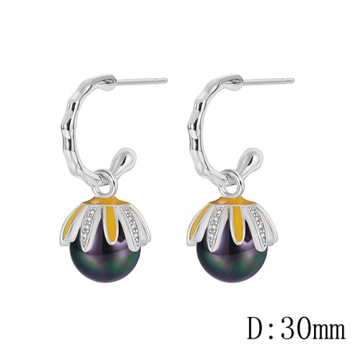 BC Wholesale Earrings Jewelry Copper Earrings With 925 Silver Needle Earrings NO.#CJ005E00791