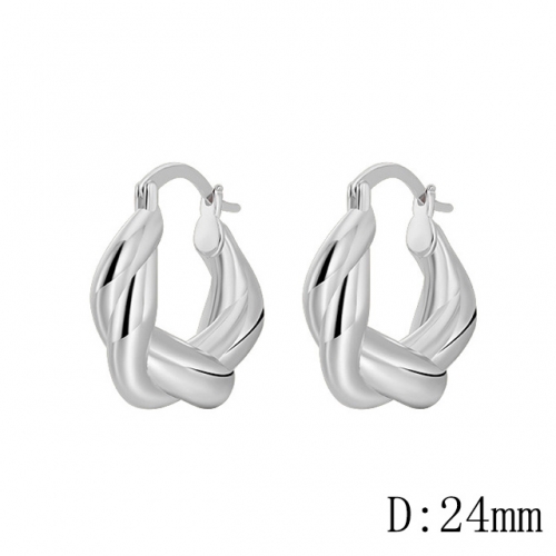 BC Wholesale Earrings Jewelry Fashion Copper Earrings Good Quality Earrings NO.#CJ005E01615