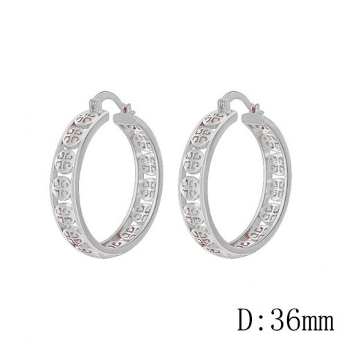 BC Wholesale Earrings Jewelry Fashion Copper Earrings Good Quality Earrings NO.#CJ005E01604