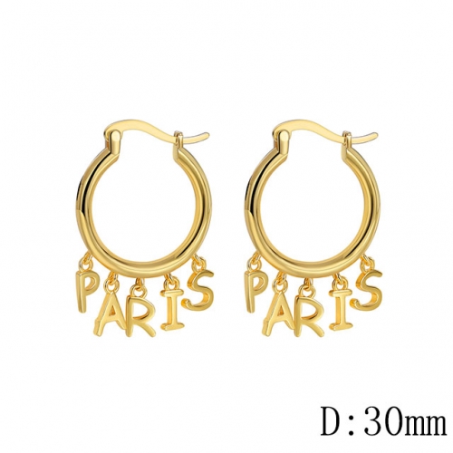 BC Wholesale Earrings Jewelry Fashion Copper Earrings Good Quality Earrings NO.#CJ005E00943