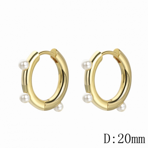 BC Wholesale Earrings Jewelry Fashion Copper Earrings Good Quality Earrings NO.#CJ005E00743