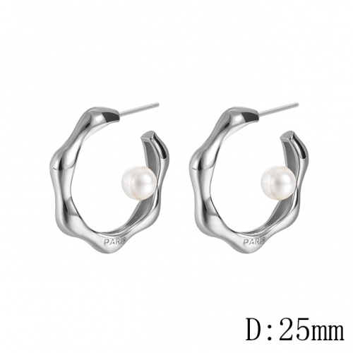 BC Wholesale Earrings Jewelry Copper Earrings With 925 Silver Needle Earrings NO.#CJ005E01183