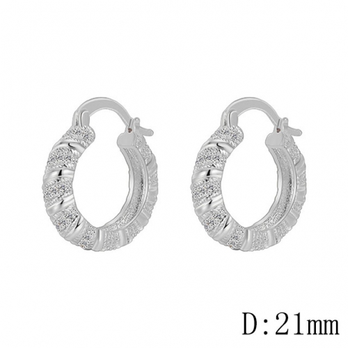 BC Wholesale Earrings Jewelry Fashion Copper Earrings Good Quality Earrings NO.#CJ005E01569