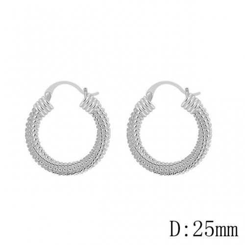 BC Wholesale Earrings Jewelry Fashion Copper Earrings Good Quality Earrings NO.#CJ005E01521