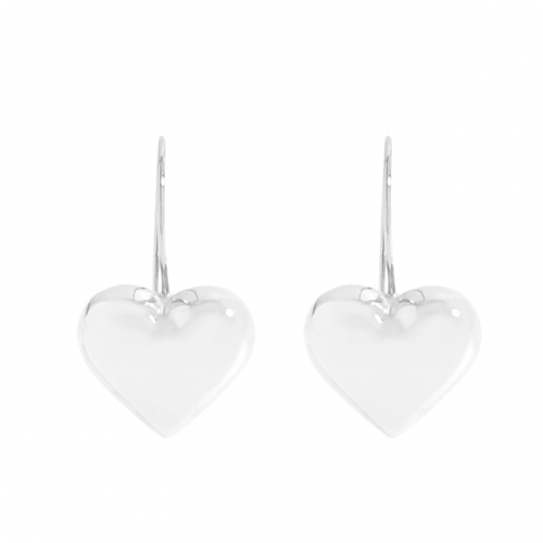 BC Wholesale 925 Sterling Silver Jewelry Earrings Good Quality Earrings NO.#925J11EA385
