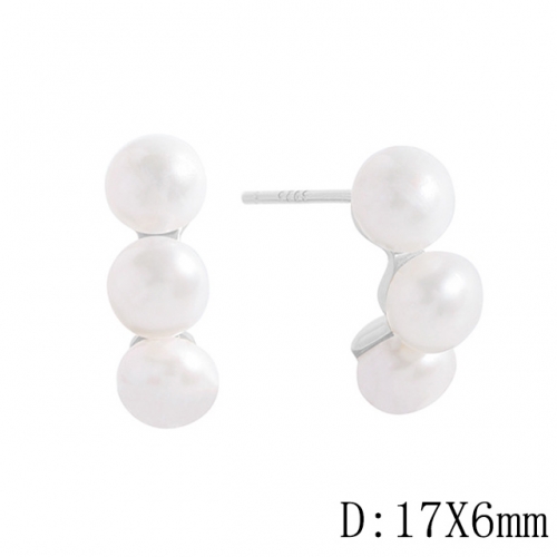 BC Wholesale 925 Sterling Silver Jewelry Earrings Good Quality Earrings NO.#925J11EA583