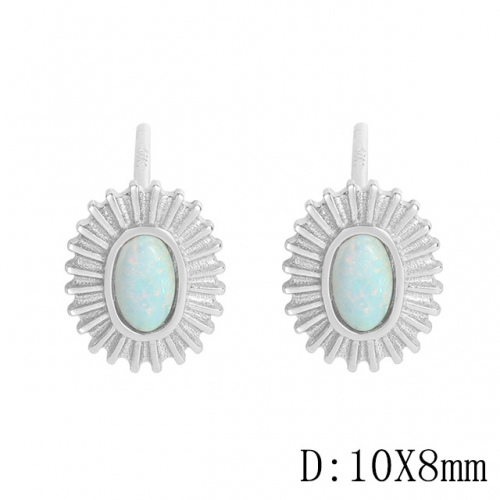 BC Wholesale 925 Sterling Silver Jewelry Earrings Good Quality Earrings NO.#925J11E550