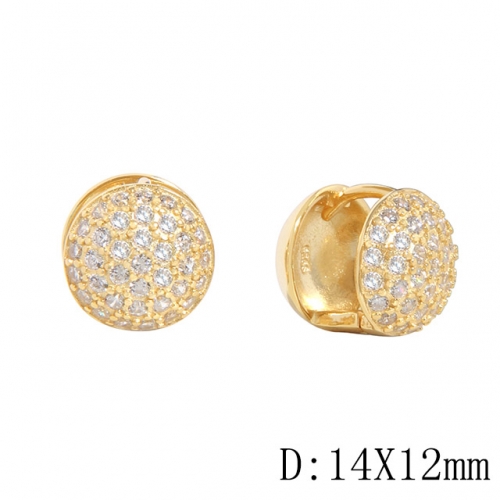 BC Wholesale 925 Sterling Silver Jewelry Earrings Good Quality Earrings NO.#925J11EA389