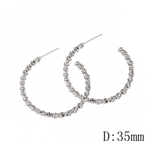 BC Wholesale 925 Sterling Silver Jewelry Earrings Good Quality Earrings NO.#925J11E006