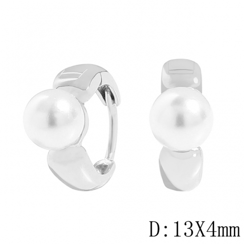BC Wholesale 925 Sterling Silver Jewelry Earrings Good Quality Earrings NO.#925J11E477