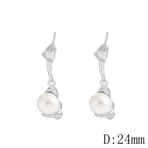 BC Wholesale 925 Sterling Silver Jewelry Earrings Good Quality Earrings NO.#925J11E128