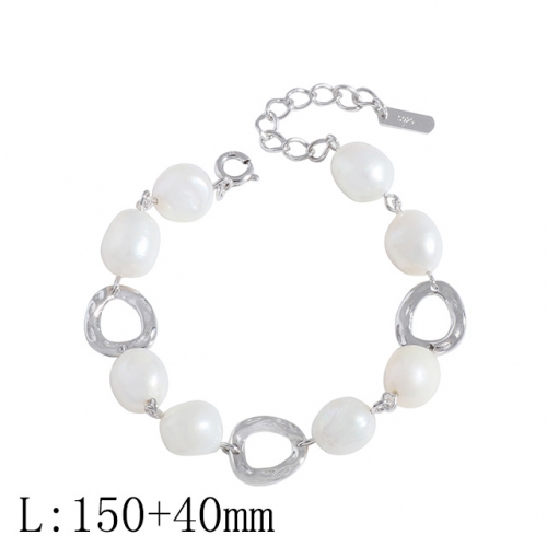 BC Wholesale 925 Silver Bracelet Jewelry Fashion Silver Bracelet NO.#925J11B116