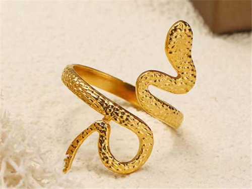 BC Wholesale Rings Jewelry Stainless Steel 316L Rings Popular Rings Wholesale Rings SJ143R0417