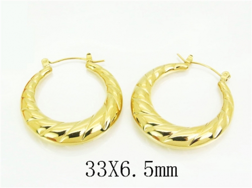 Ulyta Jewelry Wholesale Earrings Jewelry Stainless Steel Earrings Popular Earrings BC74E0131HQL