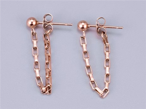 BC Wholesale Earrings Jewelry Stainless Steel 316L Earrings SJ63E0781