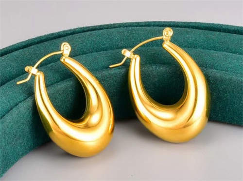 BC Wholesale Earrings Jewelry Stainless Steel 316L Earrings SJ63E0546
