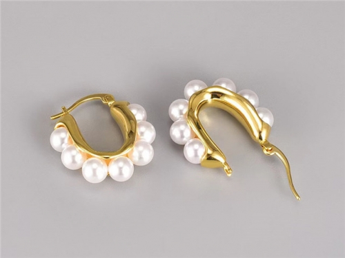 BC Wholesale Earrings Jewelry Stainless Steel 316L Earrings SJ63E0533