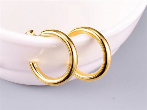 BC Wholesale Earrings Jewelry Stainless Steel 316L Earrings SJ63E0637