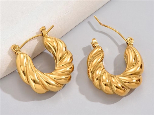 BC Wholesale Earrings Jewelry Stainless Steel 316L Earrings SJ63E0734