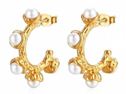 BC Wholesale Earrings Jewelry Stainless Steel 316L Earrings SJ63E0675
