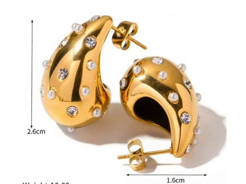 BC Wholesale Earrings Jewelry Stainless Steel 316L Earrings SJ63E0452