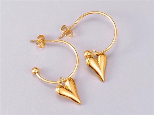 BC Wholesale Earrings Jewelry Stainless Steel 316L Earrings SJ63E0623