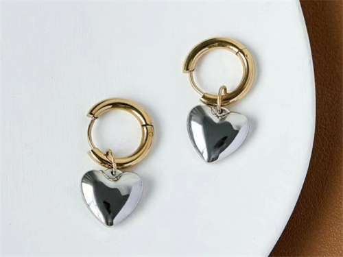 BC Wholesale Earrings Jewelry Stainless Steel 316L Earrings SJ63E0510