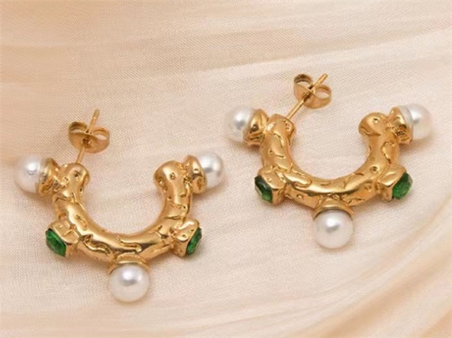 BC Wholesale Earrings Jewelry Stainless Steel 316L Earrings SJ63E0667