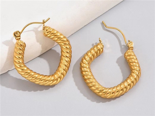 BC Wholesale Earrings Jewelry Stainless Steel 316L Earrings SJ63E0595