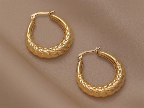 BC Wholesale Earrings Jewelry Stainless Steel 316L Earrings SJ63E0602