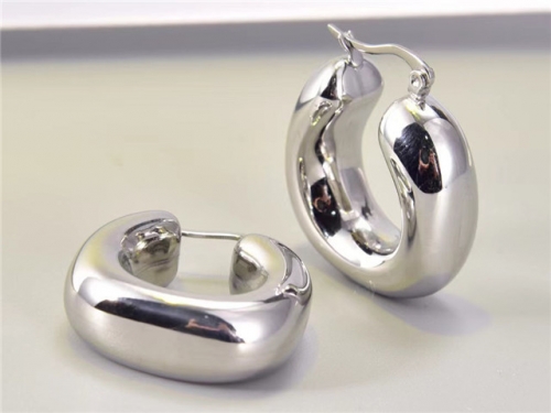 BC Wholesale Earrings Jewelry Stainless Steel 316L Earrings SJ63E0524