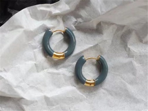 BC Wholesale Earrings Jewelry Stainless Steel 316L Earrings SJ63E0422